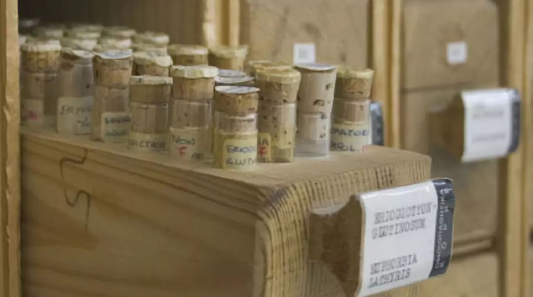 不要等皮肤出现问题在护肤,皮肤出现哪些变化证明要保养了