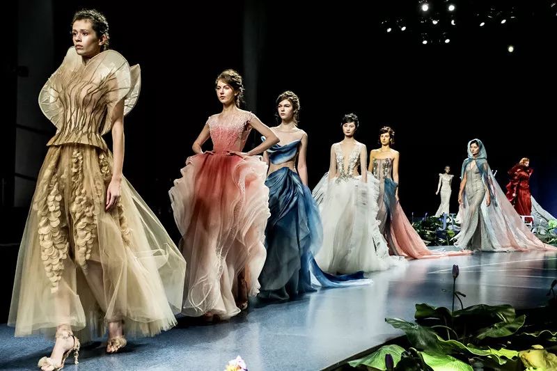 心如花木向阳而生抖音,心如花木向阳而生人民日报