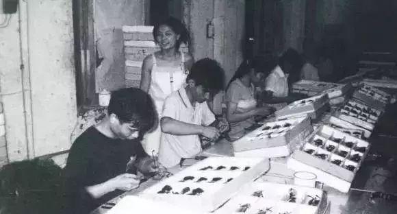 温州眼镜小镇依视路,温州眼镜小镇发展