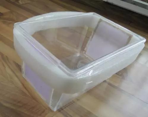 海水鱼得了白点病最快的治疗方法,鱼友分享鱼病大全