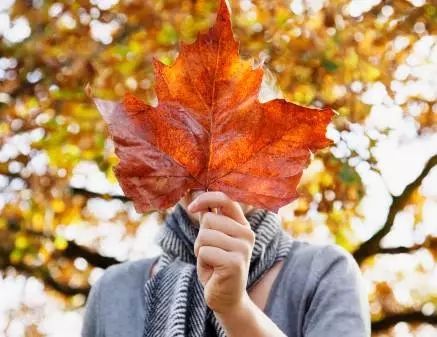 新闻早报实时播报电子版,新闻早报速递