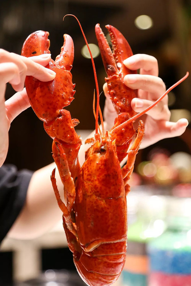 福利‖带上你的plus胃，郑州这家海鲜自助餐厅鲍鱼螃蟹吃到醉！