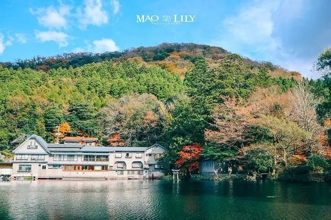 日本发现的大宝藏,日本挖出大宝藏