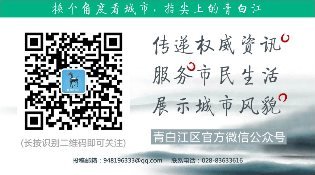 青白江招聘最新招聘信息,青白江教师招聘网最新招聘