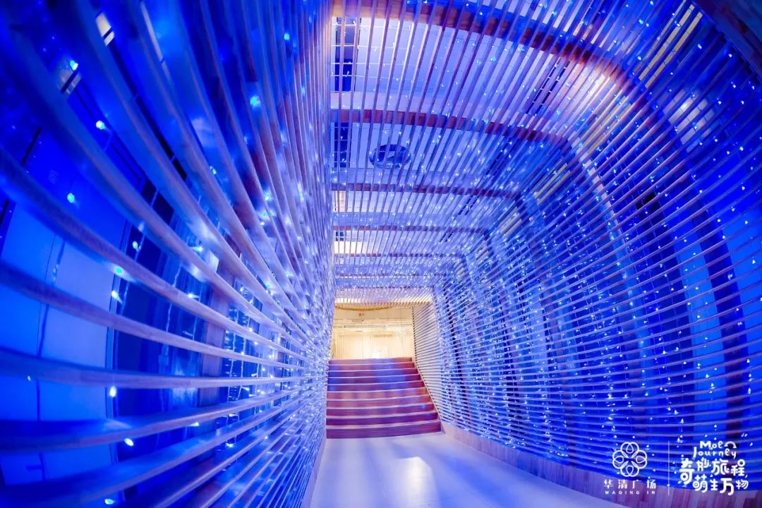 李家村最新规划消息,李家村的变迁