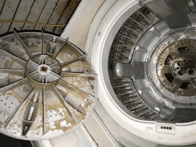 它的菌含量居然是马桶的530倍，你还在每天用