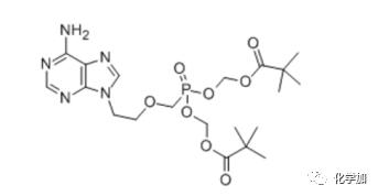 一文看懂乙肝病毒,一文读懂肝钙化灶