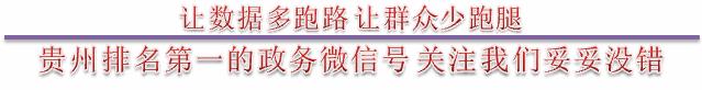 贵州公安app怎么用,贵州公安app使用教程视频