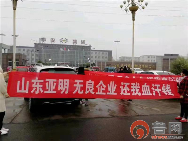 山东亚明照明科技有限公司,山东亚明照明科技有限公司2020年