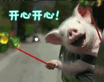 优衣库最近的打折衣服300元,优衣库刘雯同款