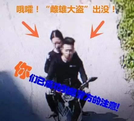 劝不听！南宁一小区业主花园“圈地”养猪，熏坏楼上住户｜下午来切咧