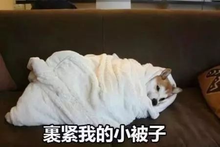 上海闵行哪里泡汤最好,闵行区适合泡汤的地方