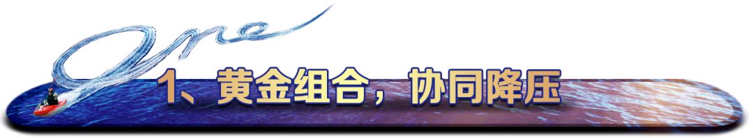 高血压指南推荐药物,高血压指南首选药物