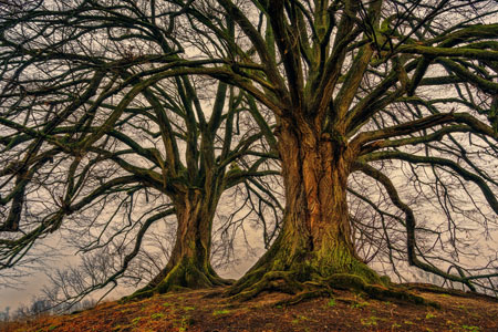 服务商企业号合规,服务商企业号