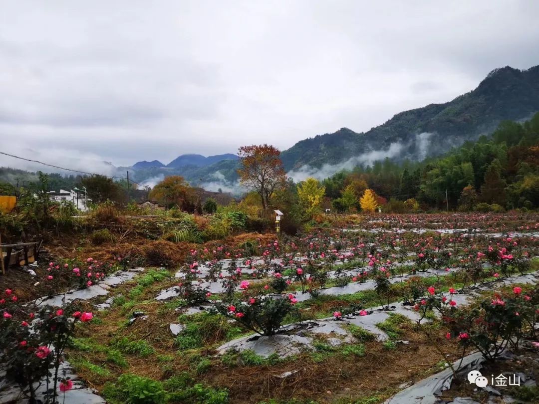 上海金山区化妆品厂有哪些,金山化妆品厂怎么样
