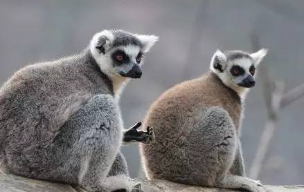青岛温泉滑雪春节去哪玩,青岛冬季温泉旅游
