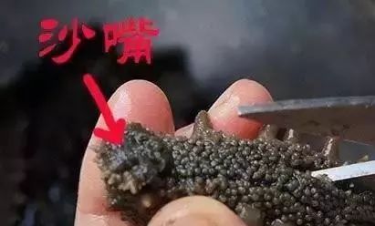 大连金三角海参批发市场海参价格,印尼海参好还是大连海参好