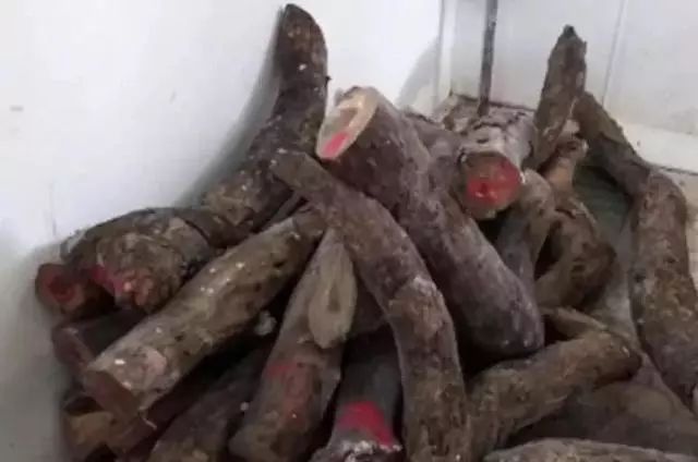 鏃╁畨鏌冲窞,鏃╁畨鏌冲窞鏈濋椈澶╀笅