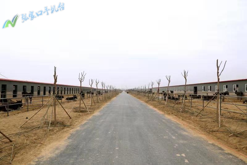 驴脱贫致富新路径,脱贫攻坚养殖致富新路子