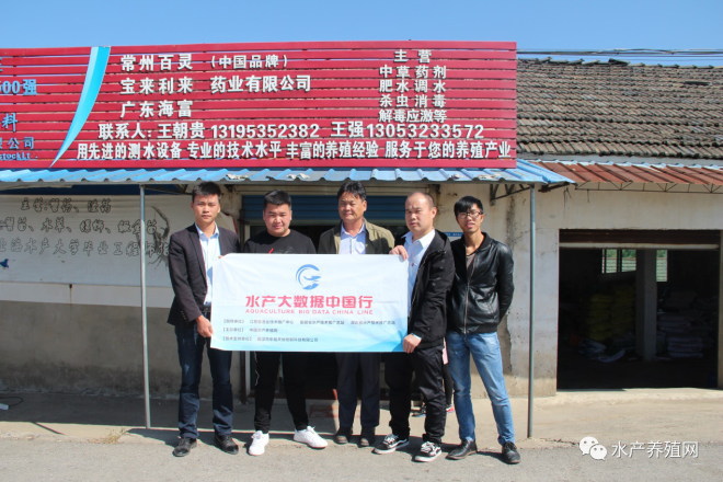 育蟹苗一年赚多少,蟹苗培育基地优惠