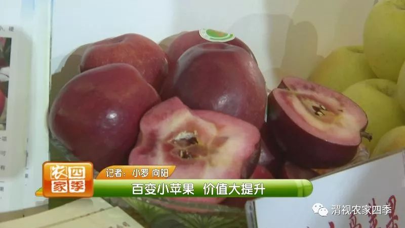 小罗带你逛超市,小罗带你走进水果基地