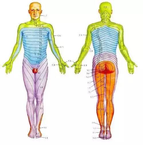 2022年医学生考研难度排名,医学生对口升学语数英的难度