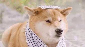 春季日常防晒推荐,防晒效果好又温和保湿的防晒