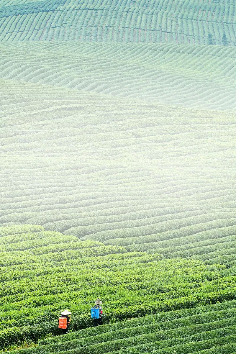 世界这么大我一直在路上,世界这么大我想自己去看看