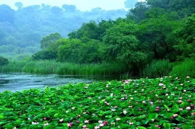 鏀归潻鍗拌鍐呭,鏀归潻鍗拌姝屾洸