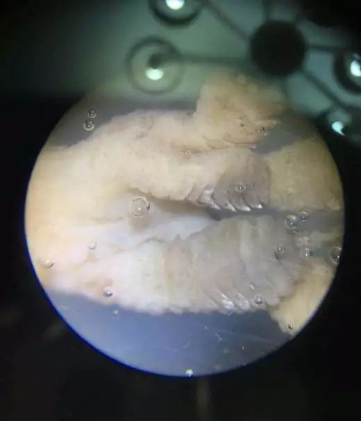 双12给宝宝囤的宝宝用品,双12宝宝必买清单