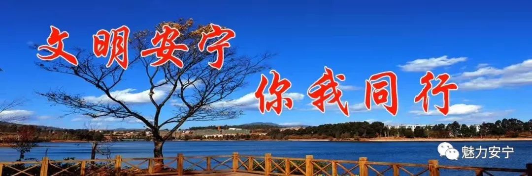 「安宁之美」几多泉石能忘我何处园林不忆君——小记园林第一人陈从周造云南第一园楠园