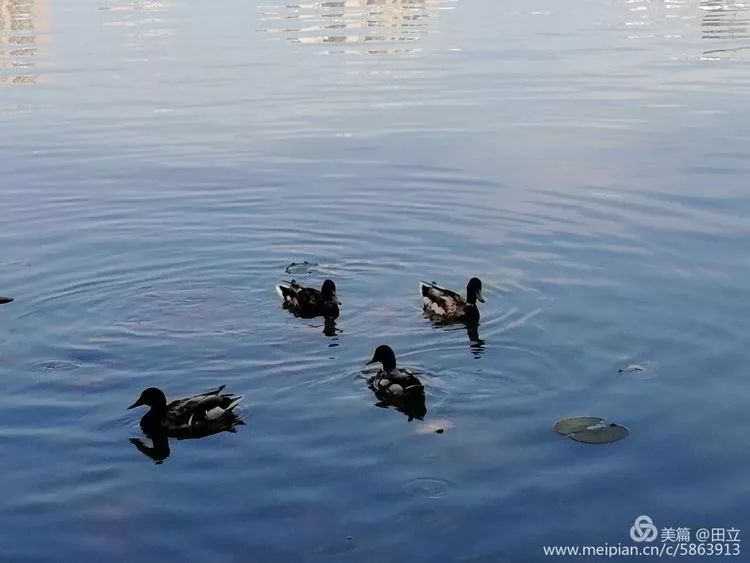 「荐读」名贤集值得一读