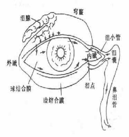 介绍一下红眼病,儿童红眼病症状