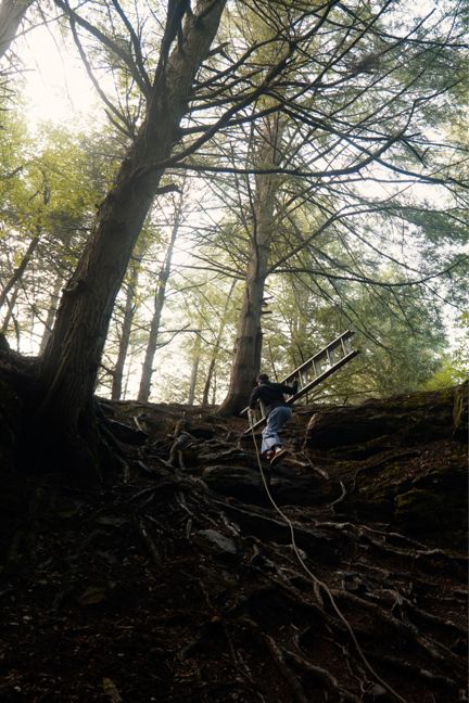 奇异的人体悬挂世界