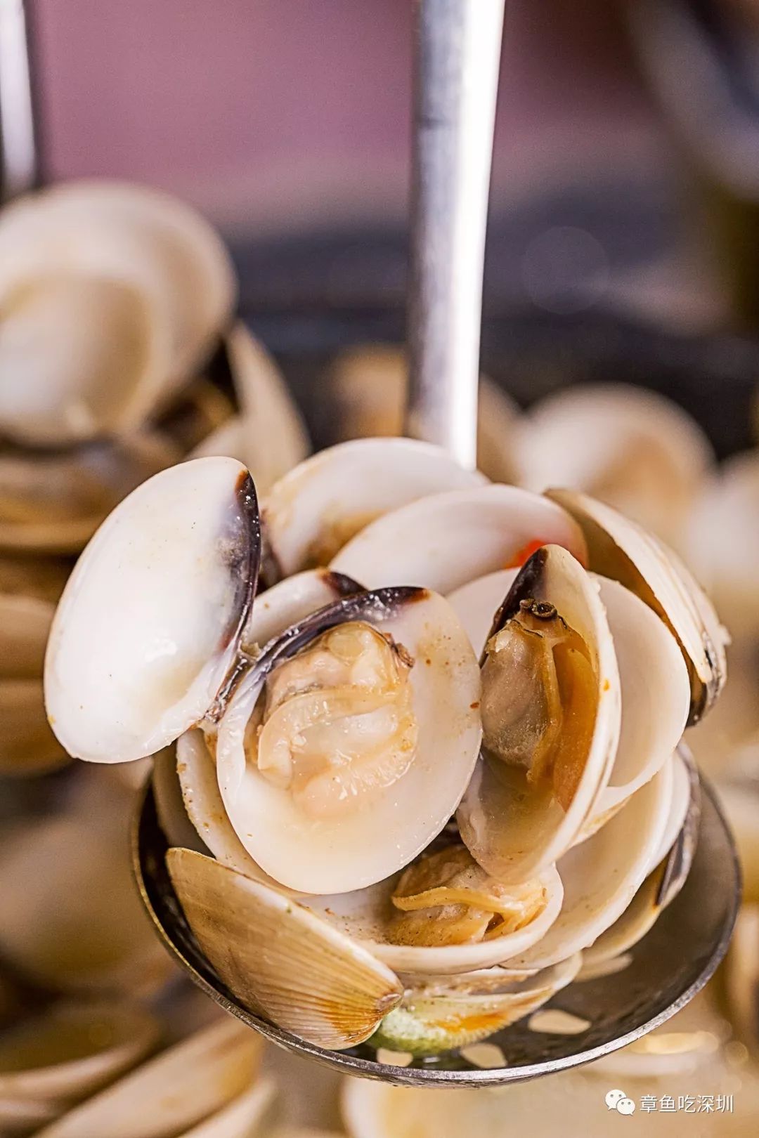 火锅界的黑马入侵东北大汉局，5.8折一个都跑不了