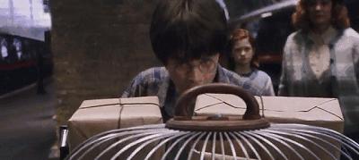 哈利波特麻瓜完整版,哈利波特麻瓜介绍