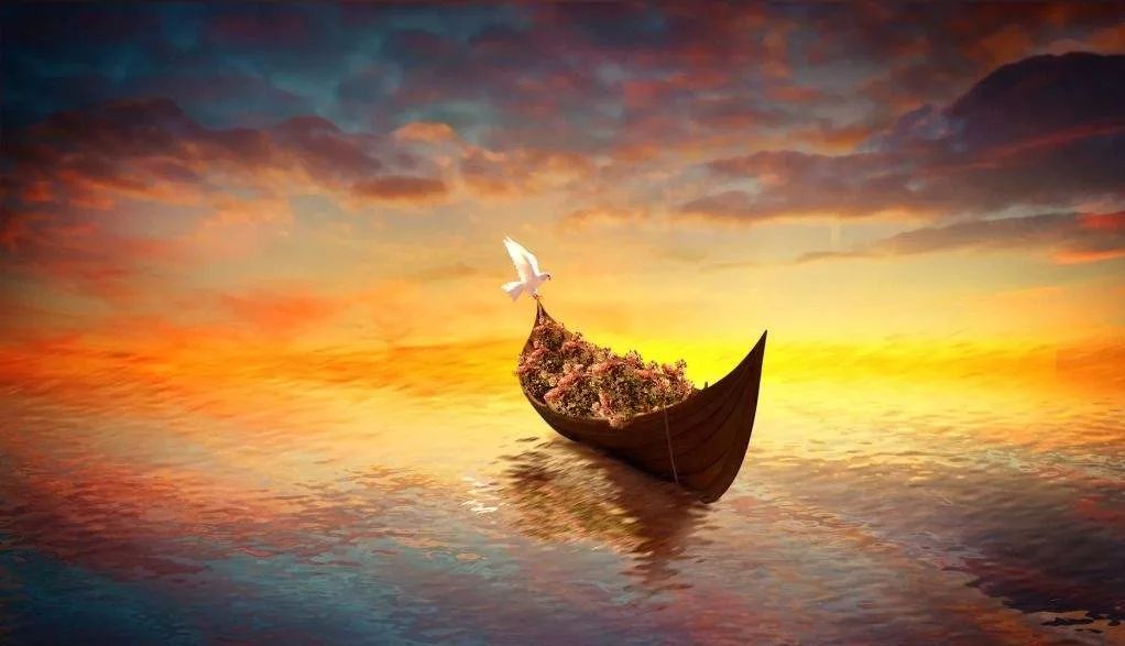 外文推荐｜死亡是什么？