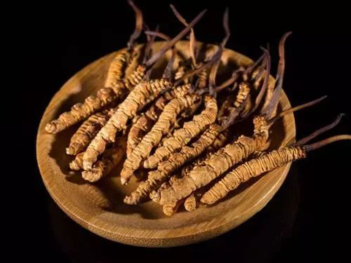 冬虫夏草踢出保健品,中央台曝光冬虫夏草踢出保健品