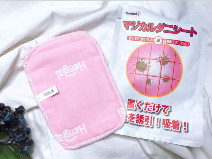 肉眼可见的除螨效果，日本爆款除螨贴，24小时不间断，除螨率高达97%