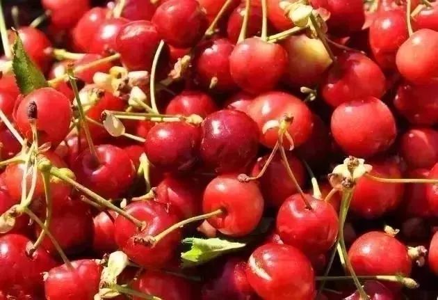 很多人被这8个*局骗**泄露了个人信息,却不知道……