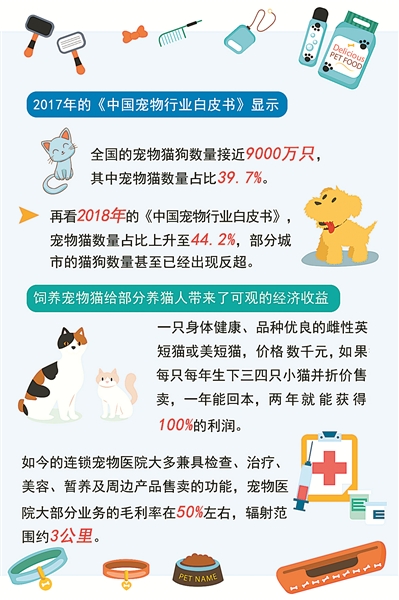 中国宠物猫负增长,揭秘宠物猫行业