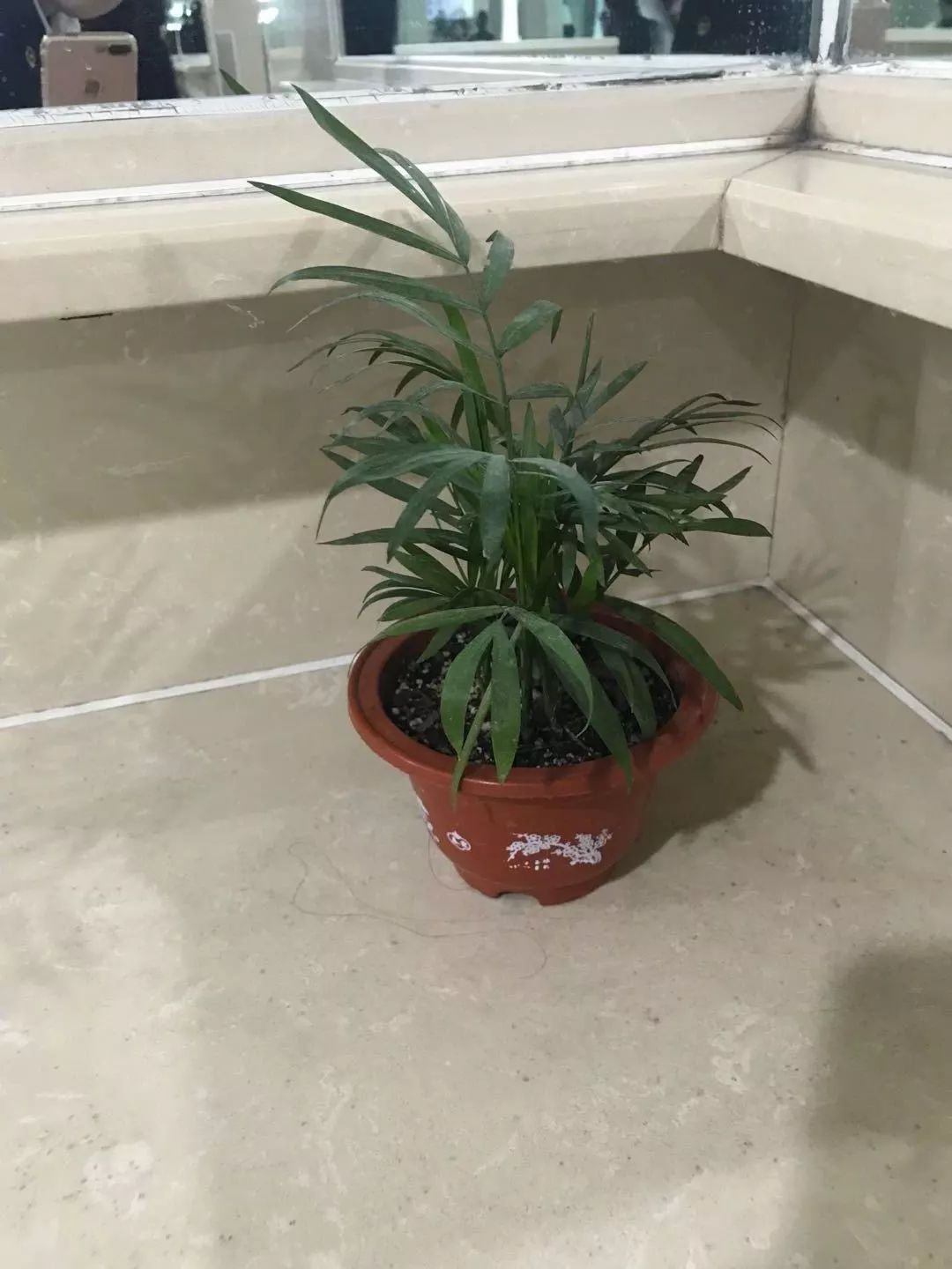 方便来聊聊火车上“方便”那点儿事么？