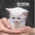 大家都在用的清洁面膜,不到一百的面膜