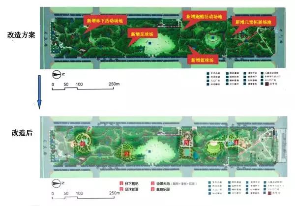 合肥版中央公园,合肥中央公园踢球