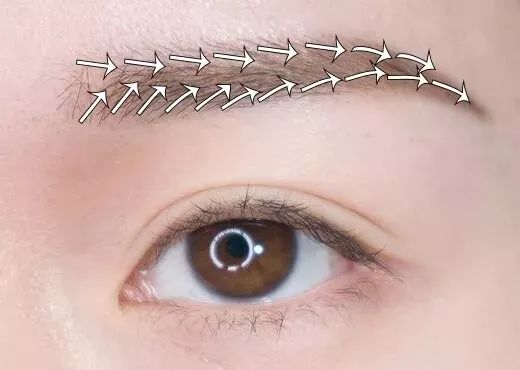 眉笔40元,40-50元左右的眉笔推荐