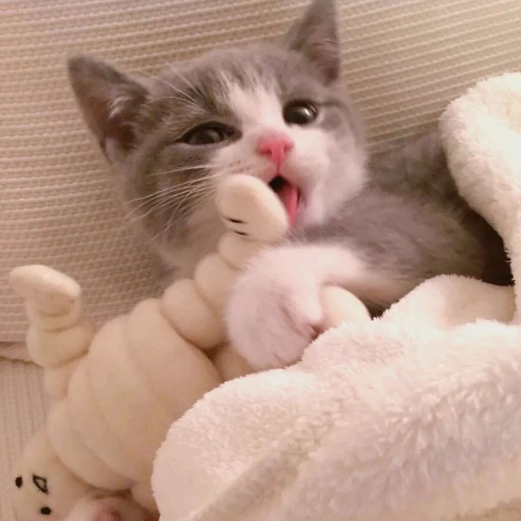 错过了双十一还有活动吗,错过了双11还想低价入手iphone