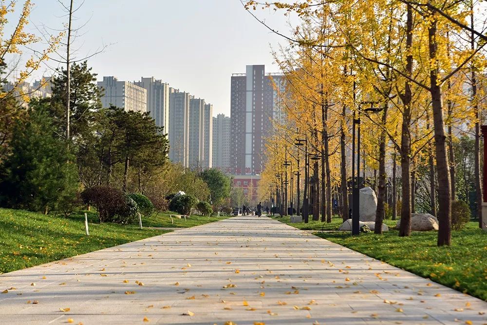 西安航天基地2021年工作重点,西安航天基地创新发展