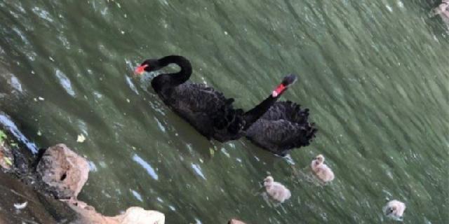 11.23｜周到晨报：巴黎春天不打烊启动！VIP专场十倍积分，换券队伍排出超百米