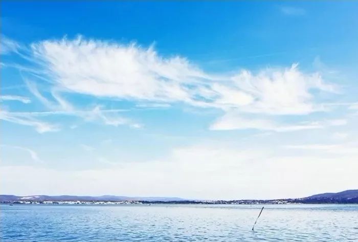 无知的代价小说完整版,无知的代价民间故事