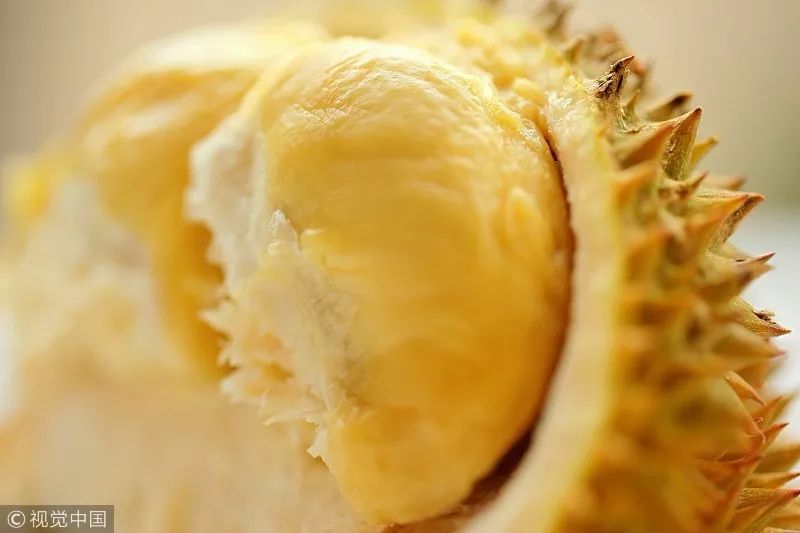 把榴莲加热,把榴莲烤熟吃很香